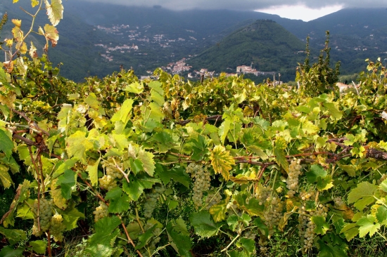 Tramonti